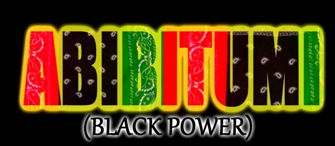 afrikan-insurrektion-muzik-a-i-m-33