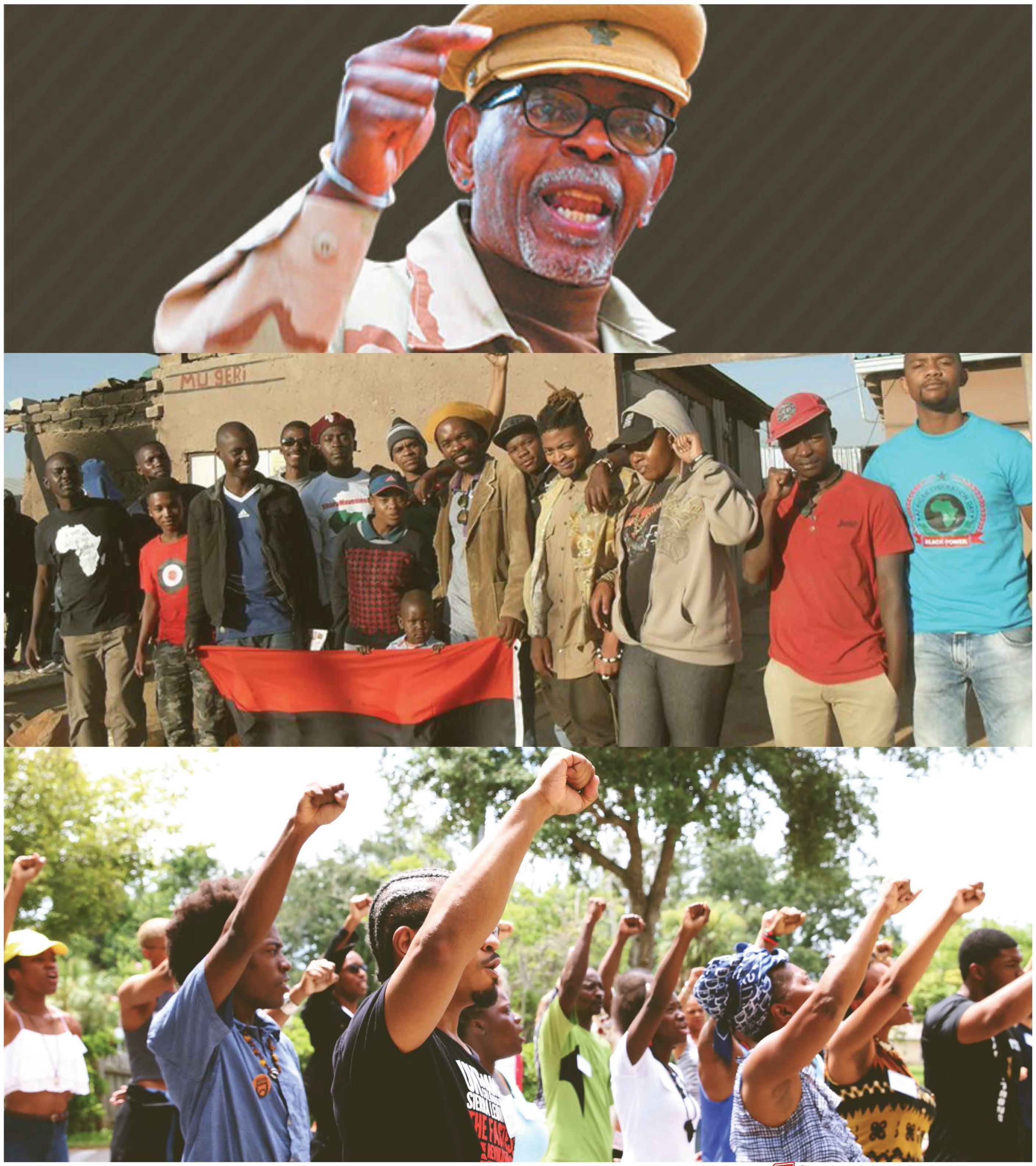 APSP Party Standards 2.png